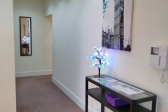 Apt5 Internal Hallway